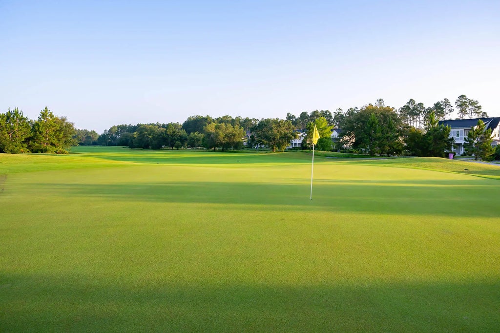 8 of 14 - 375 Pollard Cove East Lot 99, Watersound, FL