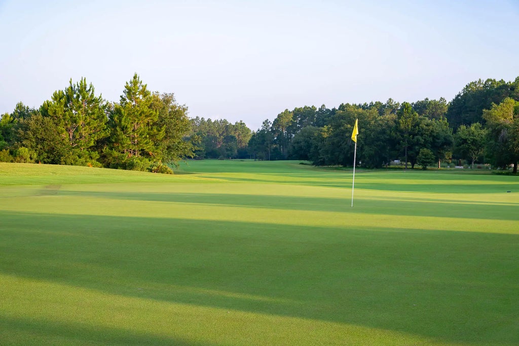 2 of 15 - Tbd Green Heron Street Lot 35, Watersound, FL