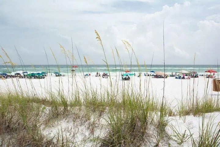 34 of 36 - 27 Cosmos Court, Santa Rosa Beach, FL