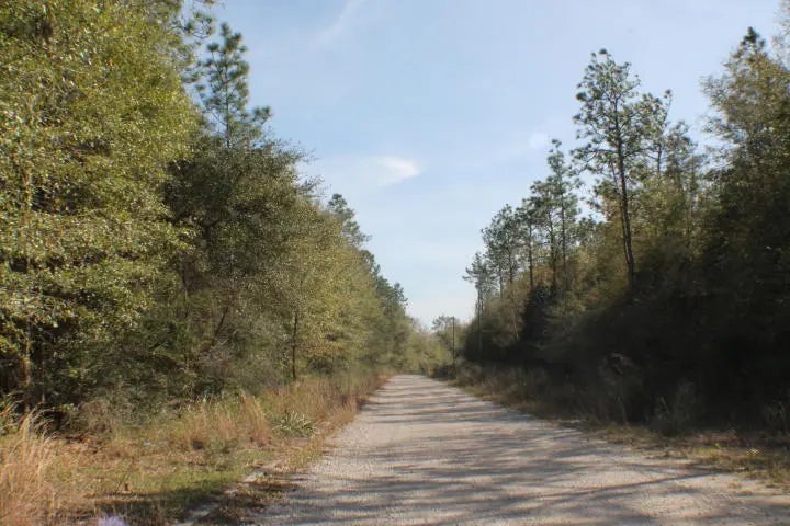8 of 13 - Lot 22- A Honey Lane, Crestview, FL