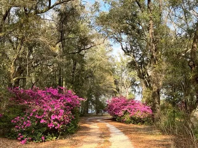 Photo of Listing #883668
