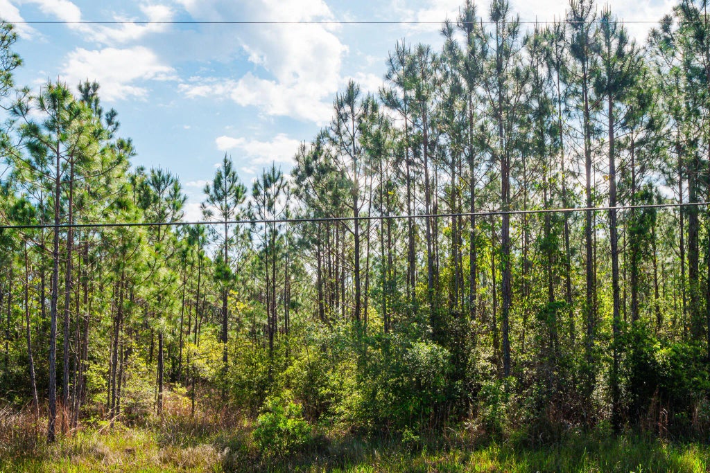 13 of 14 - Tbd N County Hwy 393 Lot 50, Santa Rosa Beach, FL