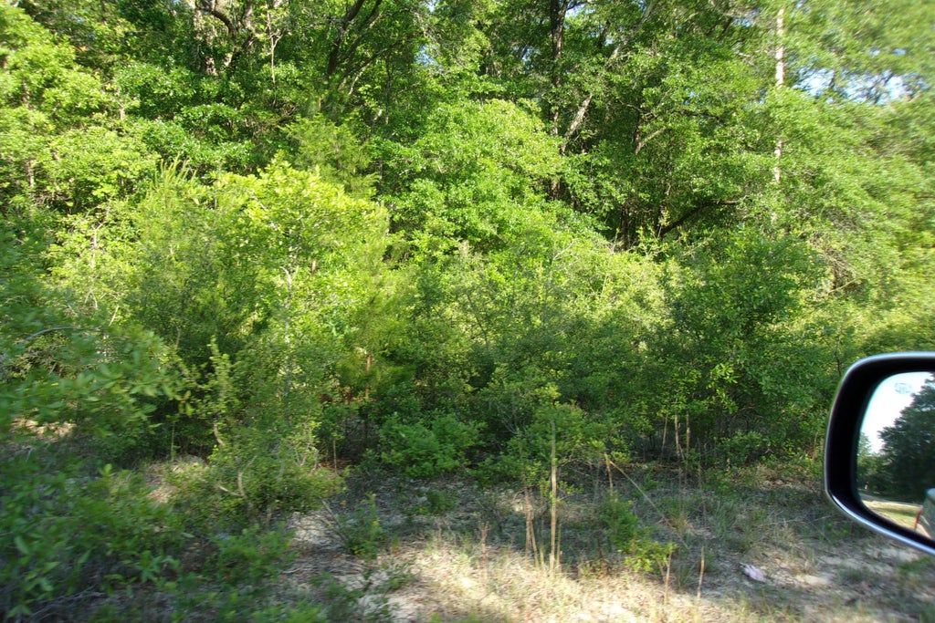 3 of 8 - Xx Grebe Way, Crestview, FL