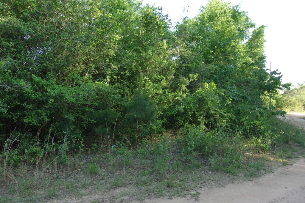 8 of 8 - Xx Grebe Way, Crestview, FL