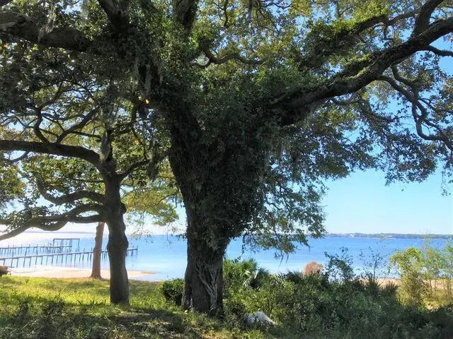 5 of 6 - 4423 W Highway 98, Panama City, FL