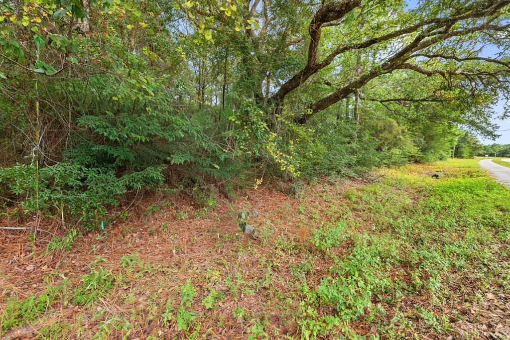 16 of 25 - 000 County Hwy 83a W, Freeport, FL