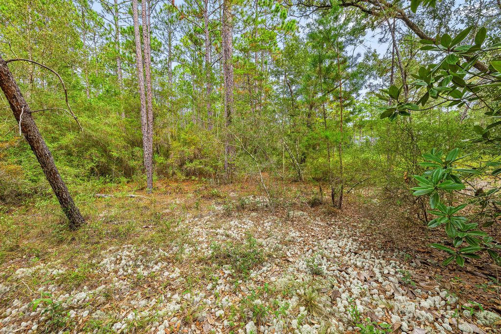 6 of 25 - 000 County Hwy 83a W, Freeport, FL