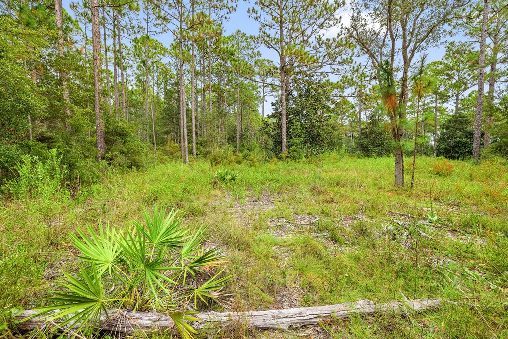 7 of 25 - 000 County Hwy 83a W, Freeport, FL