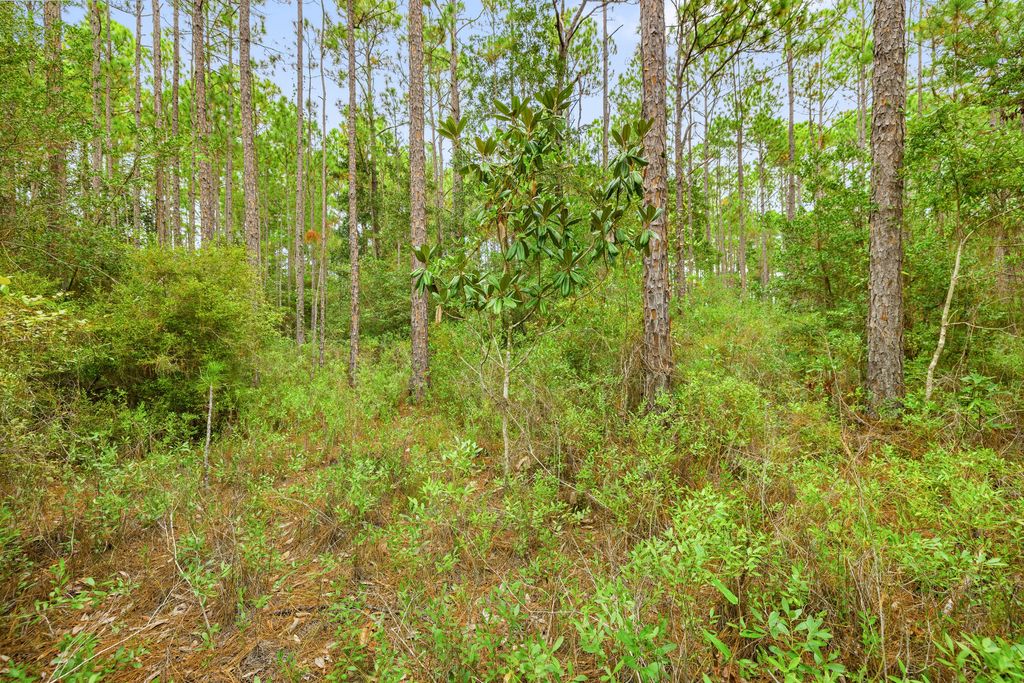 8 of 25 - 000 County Hwy 83a W, Freeport, FL