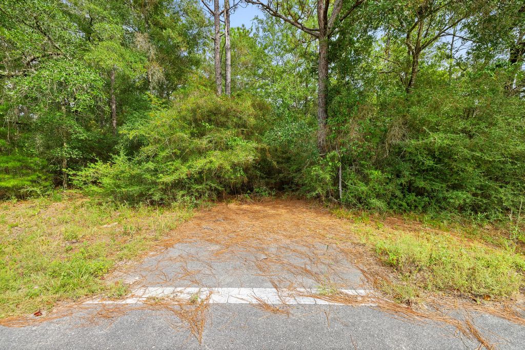 9 of 25 - 000 County Hwy 83a W, Freeport, FL