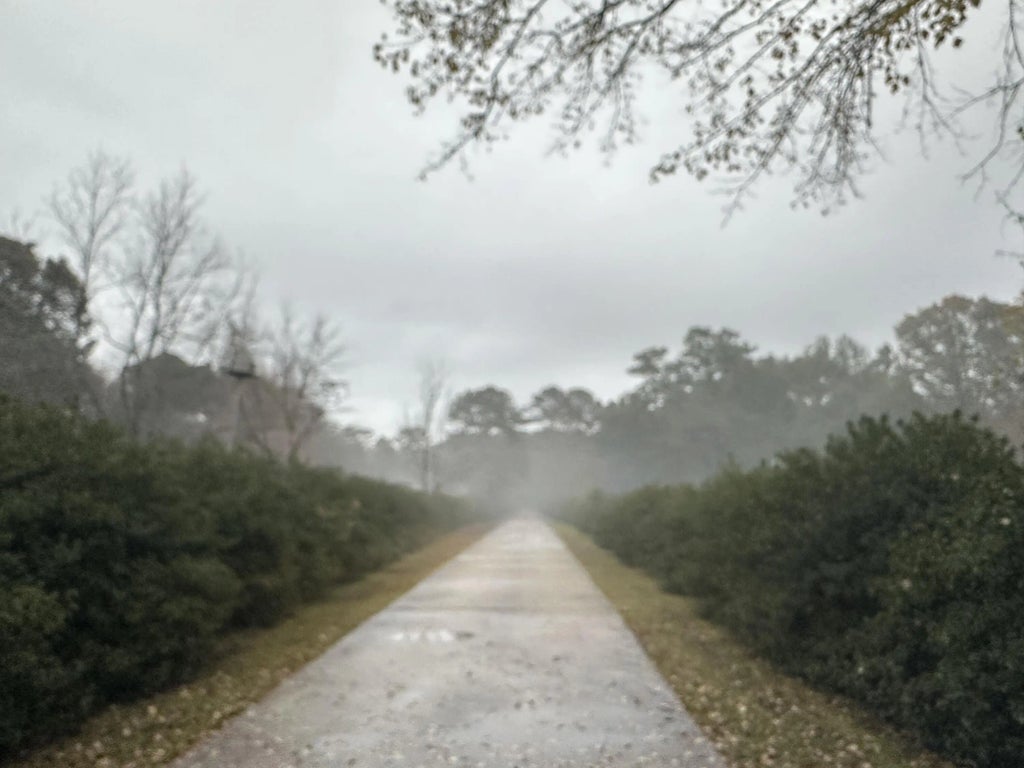 65 of 66 - 5771 Flora Lee Lane, Crestview, FL