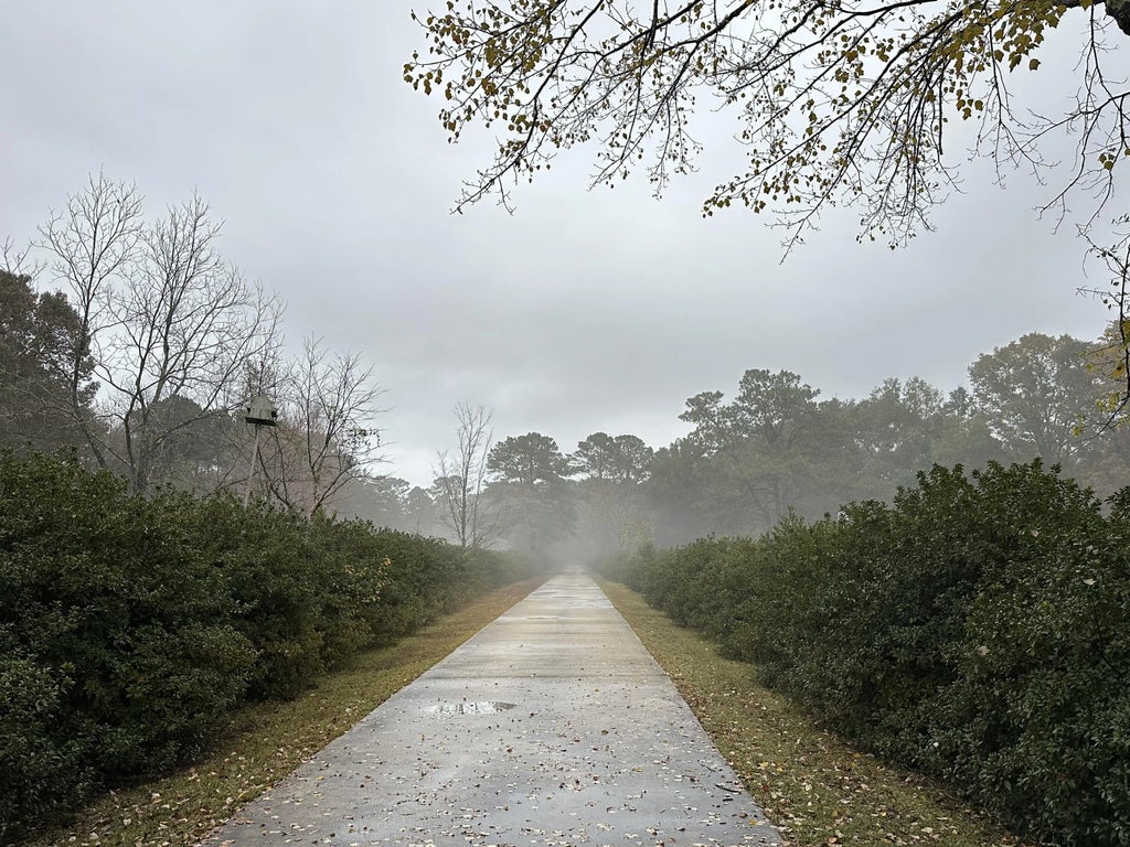 66 of 66 - 5771 Flora Lee Lane, Crestview, FL