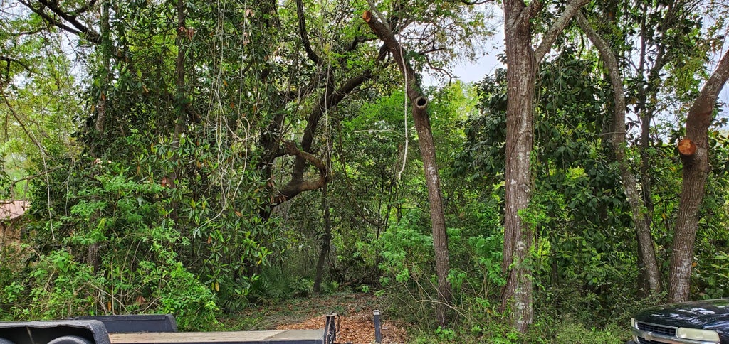 12 of 14 - Lot 11 Live Oak Street, Niceville, FL