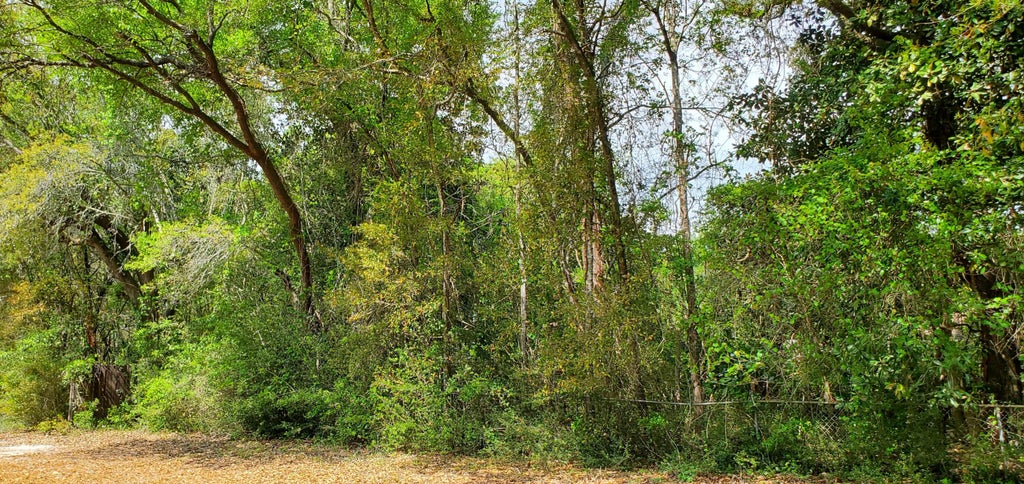 8 of 14 - Lot 11 Live Oak Street, Niceville, FL