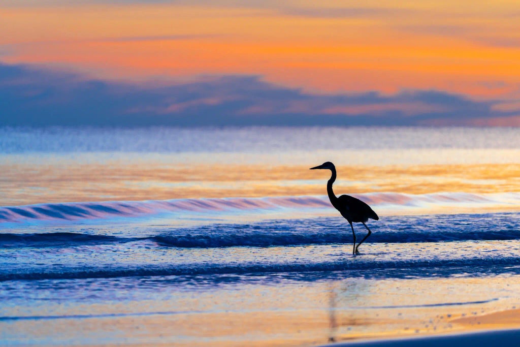 7 of 10 - Lot 9 Blk3 Horseshoe Circle, Miramar Beach, FL