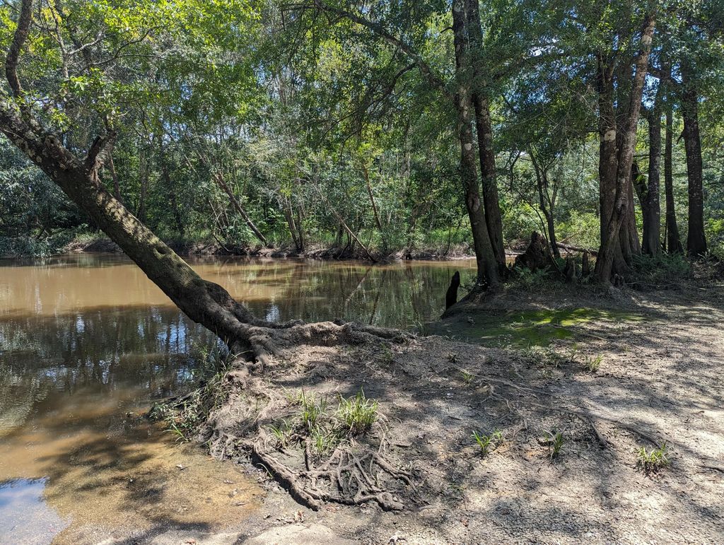 12 of 19 - 1.81 Ac Retreat Inlet, Baker, FL
