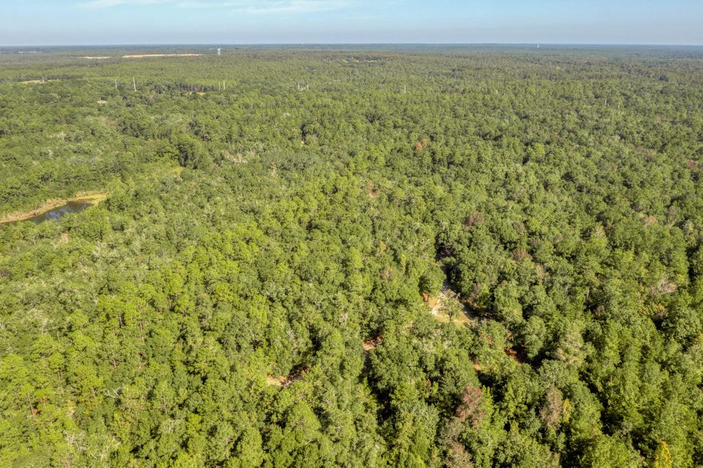16 of 19 - 1.81 Ac Retreat Inlet, Baker, FL