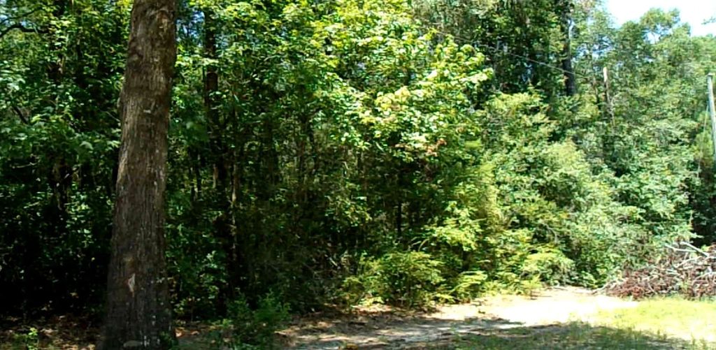 6 of 19 - 1.81 Ac Retreat Inlet, Baker, FL