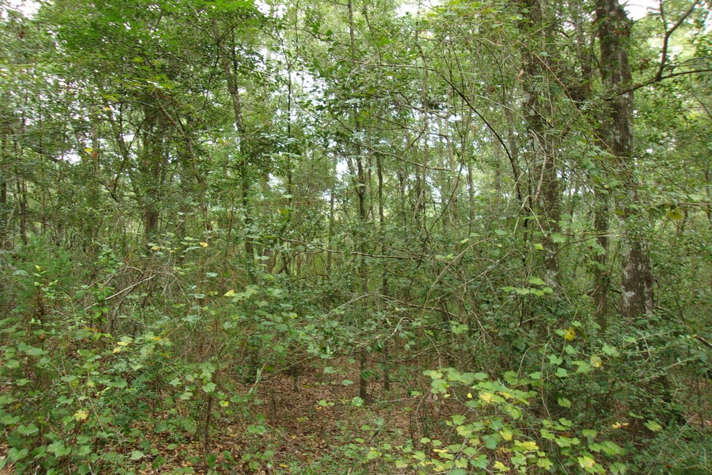 13 of 24 - 5001 Al Gillman Road Road, Baker, FL