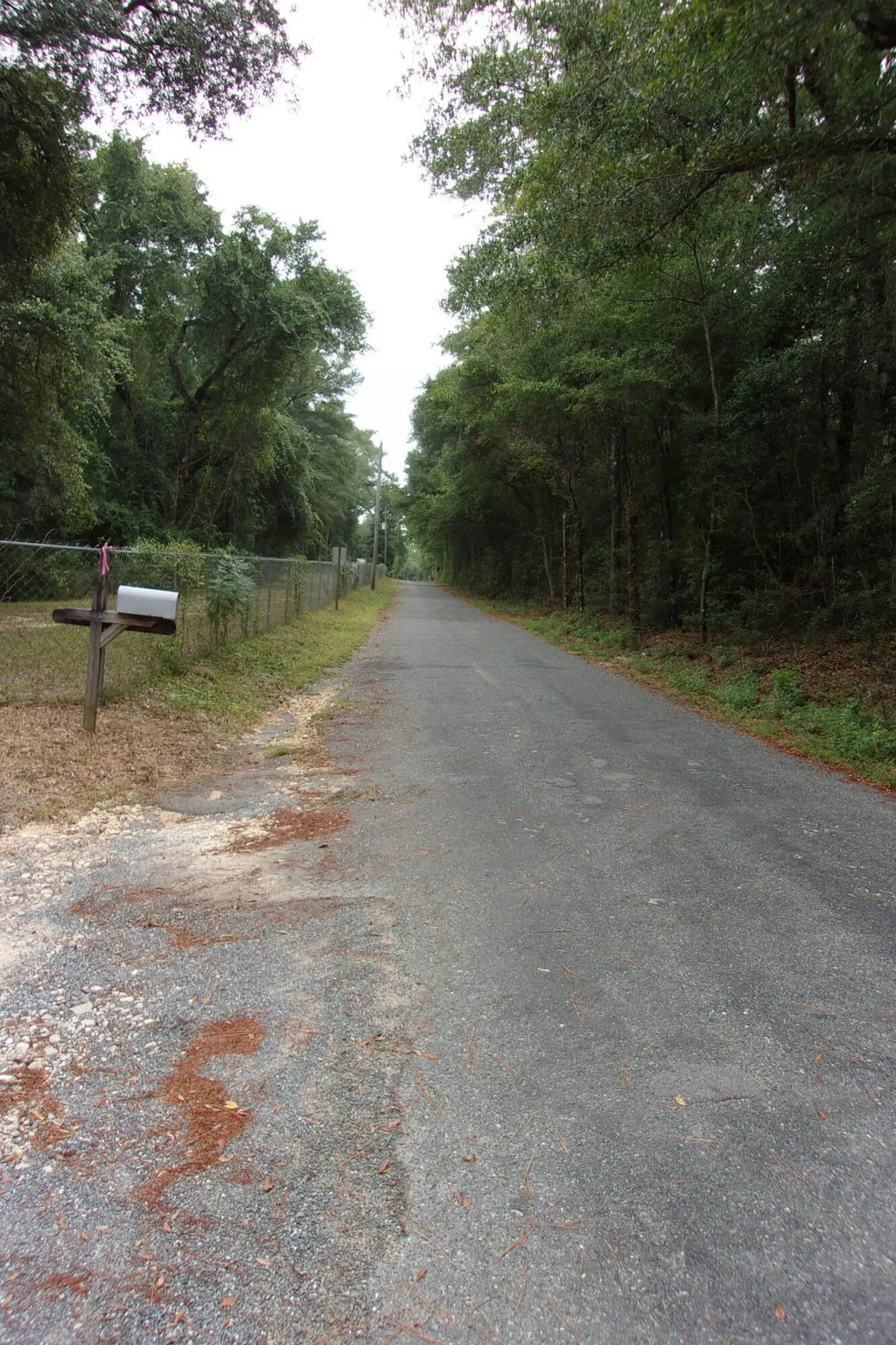 16 of 24 - 5001 Al Gillman Road Road, Baker, FL