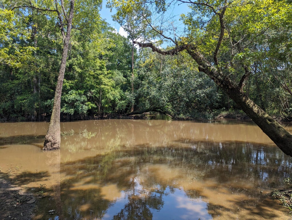 19 of 24 - 5001 Al Gillman Road Road, Baker, FL