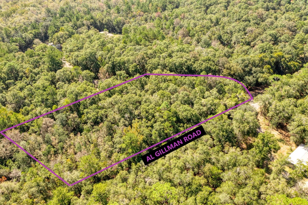 2 of 24 - 5001 Al Gillman Road Road, Baker, FL