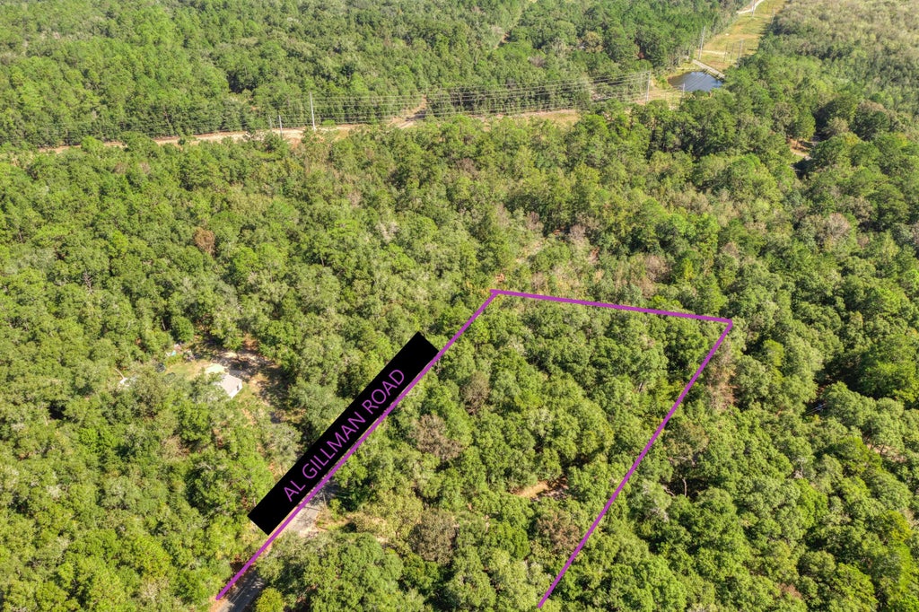 3 of 24 - 5001 Al Gillman Road Road, Baker, FL