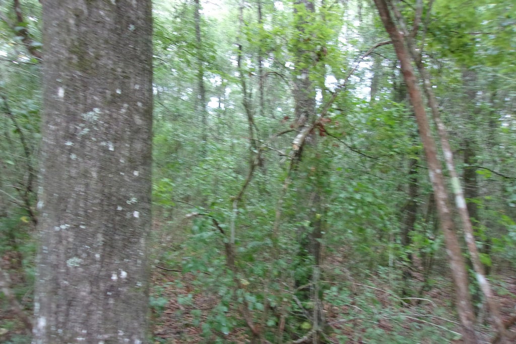 4 of 24 - 5001 Al Gillman Road Road, Baker, FL