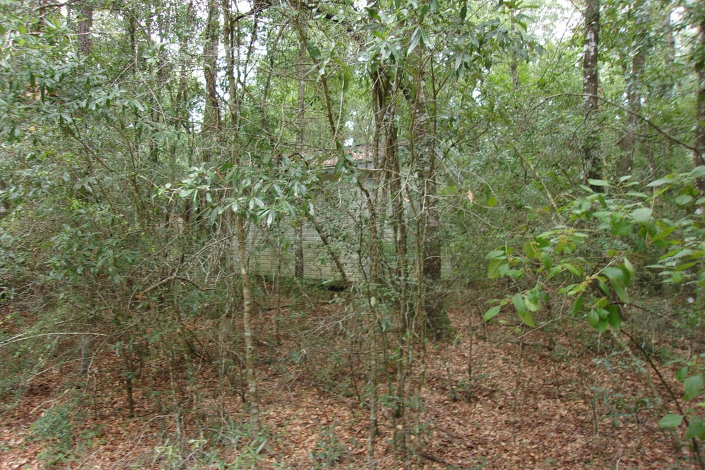 6 of 24 - 5001 Al Gillman Road Road, Baker, FL