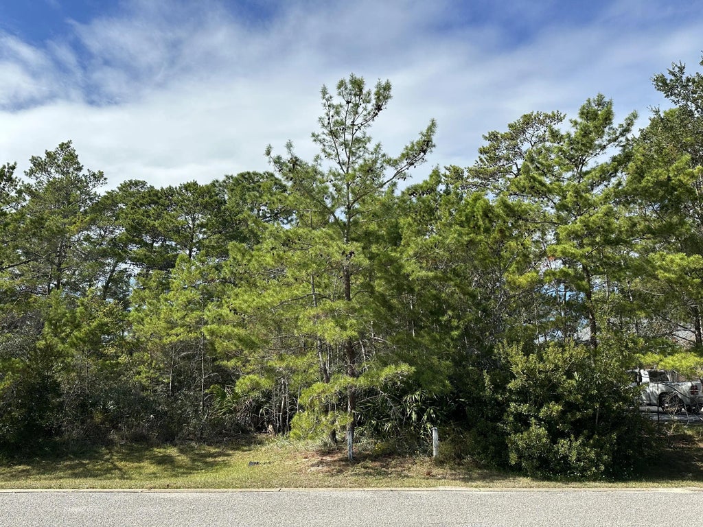 10 of 17 - Lot 38 Wind Spray Court, Santa Rosa Beach, FL