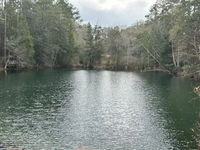 Photo of Listing #940030