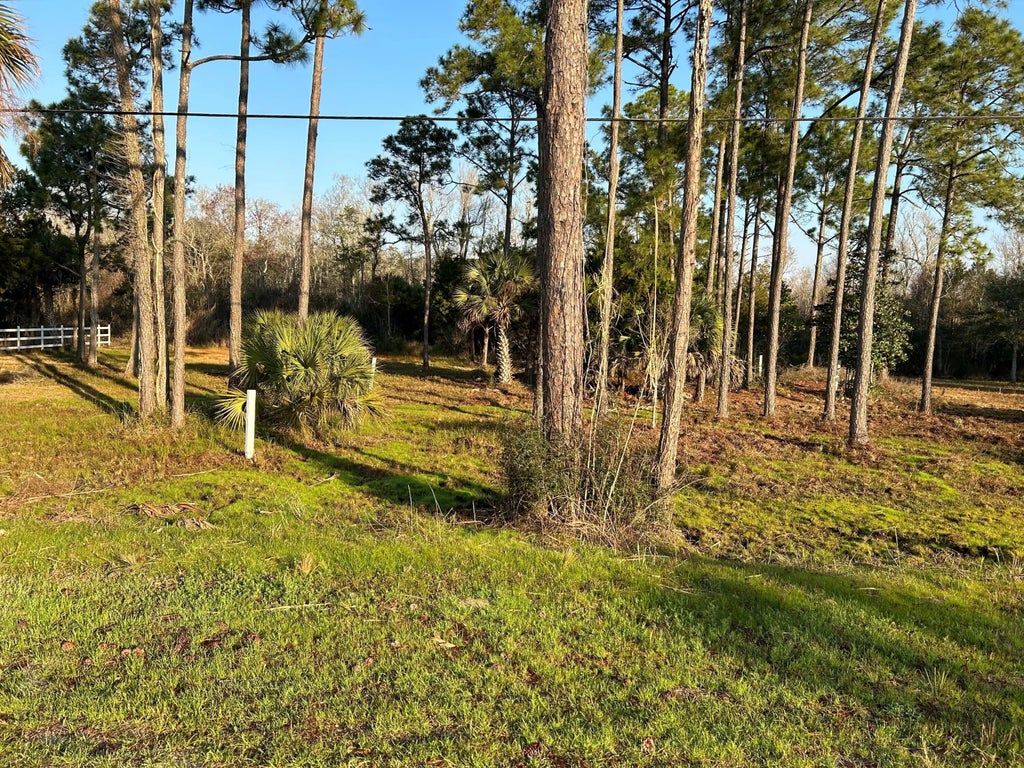10 of 17 - Lot 29 W State Hwy 20, Freeport, FL