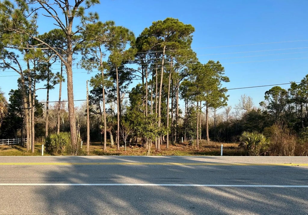 12 of 17 - Lot 29 W State Hwy 20, Freeport, FL