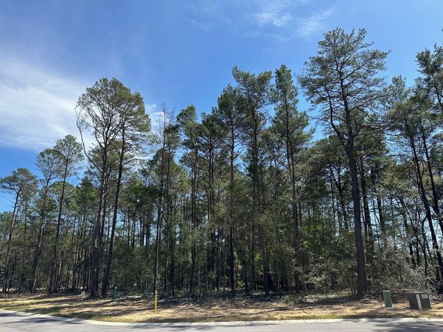 Photo of Listing #942677