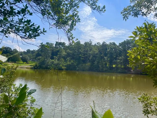 Photo of Listing #945782