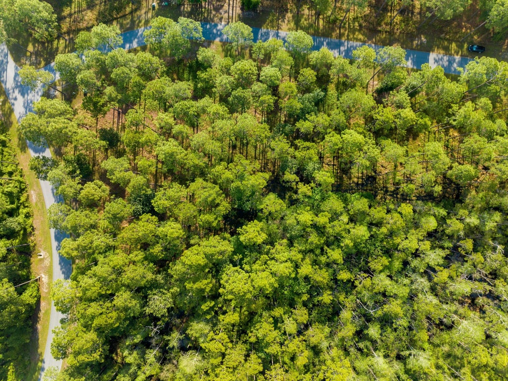 11 of 32 - 7535 Morning Marsh Trail, Panama City Beach, FL