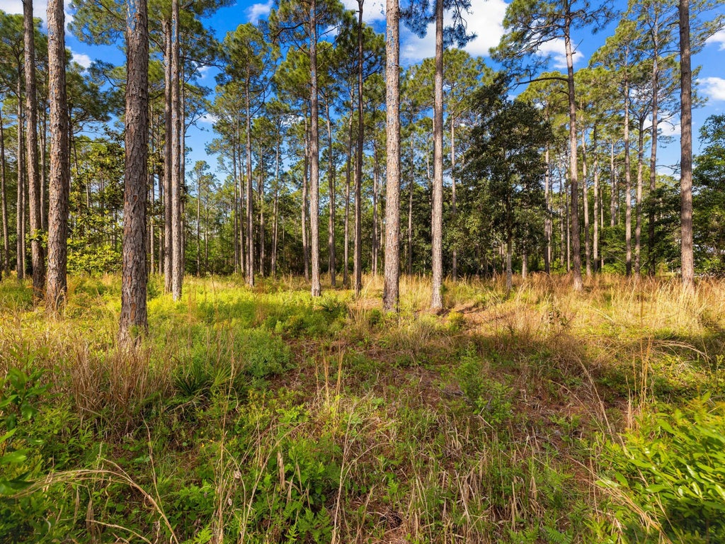 19 of 32 - 7535 Morning Marsh Trail, Panama City Beach, FL