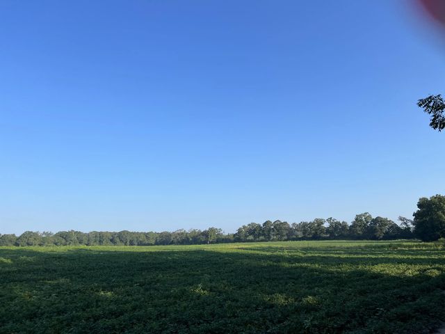 Photo of Listing #950607