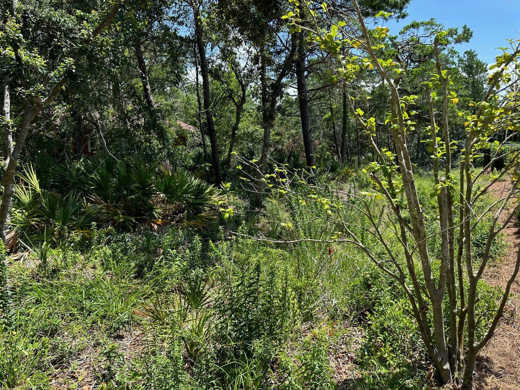 11 of 22 - G-18 Sea Winds Drive, Santa Rosa Beach, FL