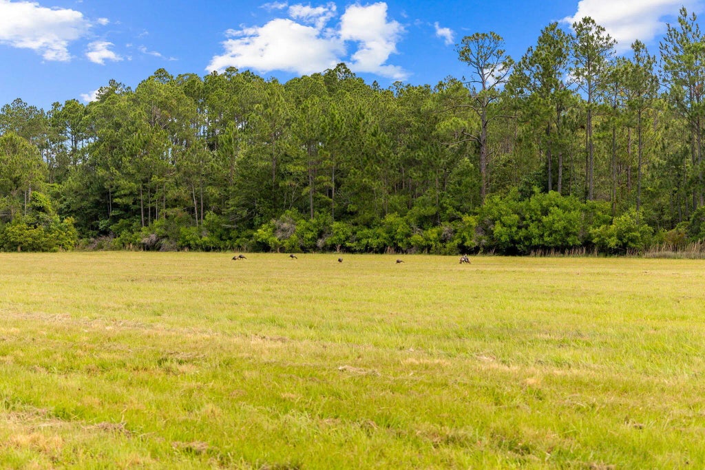 43 of 55 - 2671 Co Highway 83-a, Freeport, FL