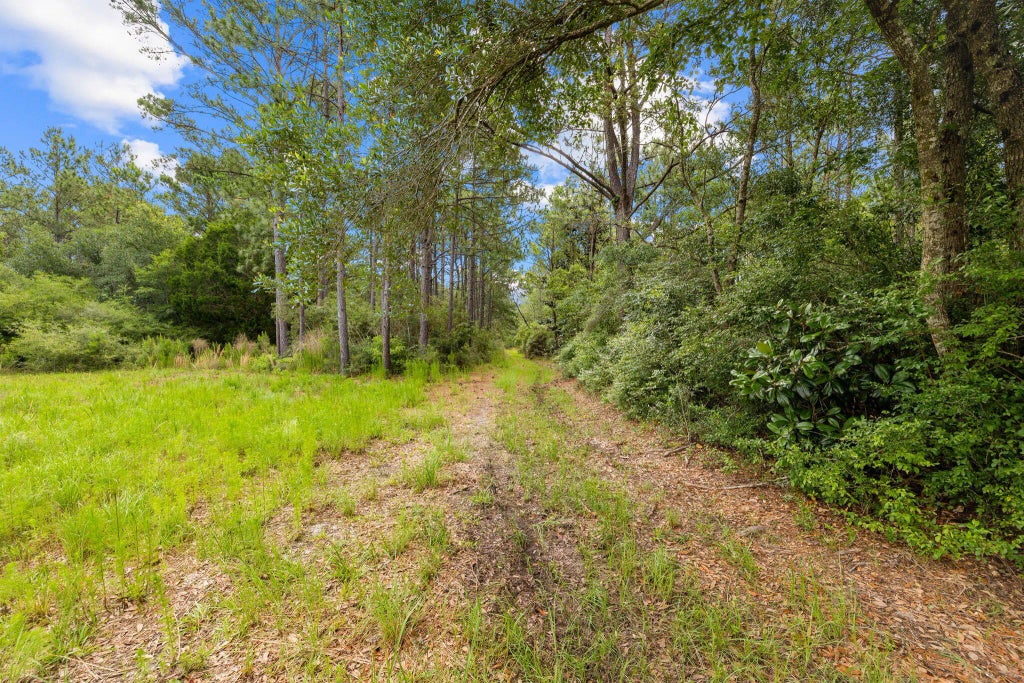 54 of 55 - 2671 Co Highway 83-a, Freeport, FL