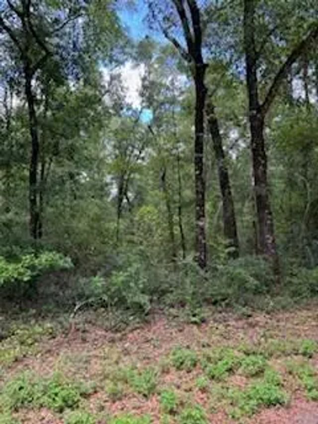 Photo of Listing #954044