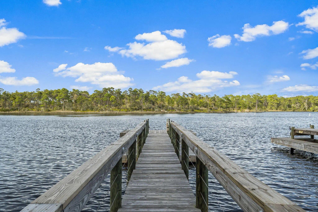 51 of 52 - 45 Grande Pointe Drive, Inlet Beach, FL