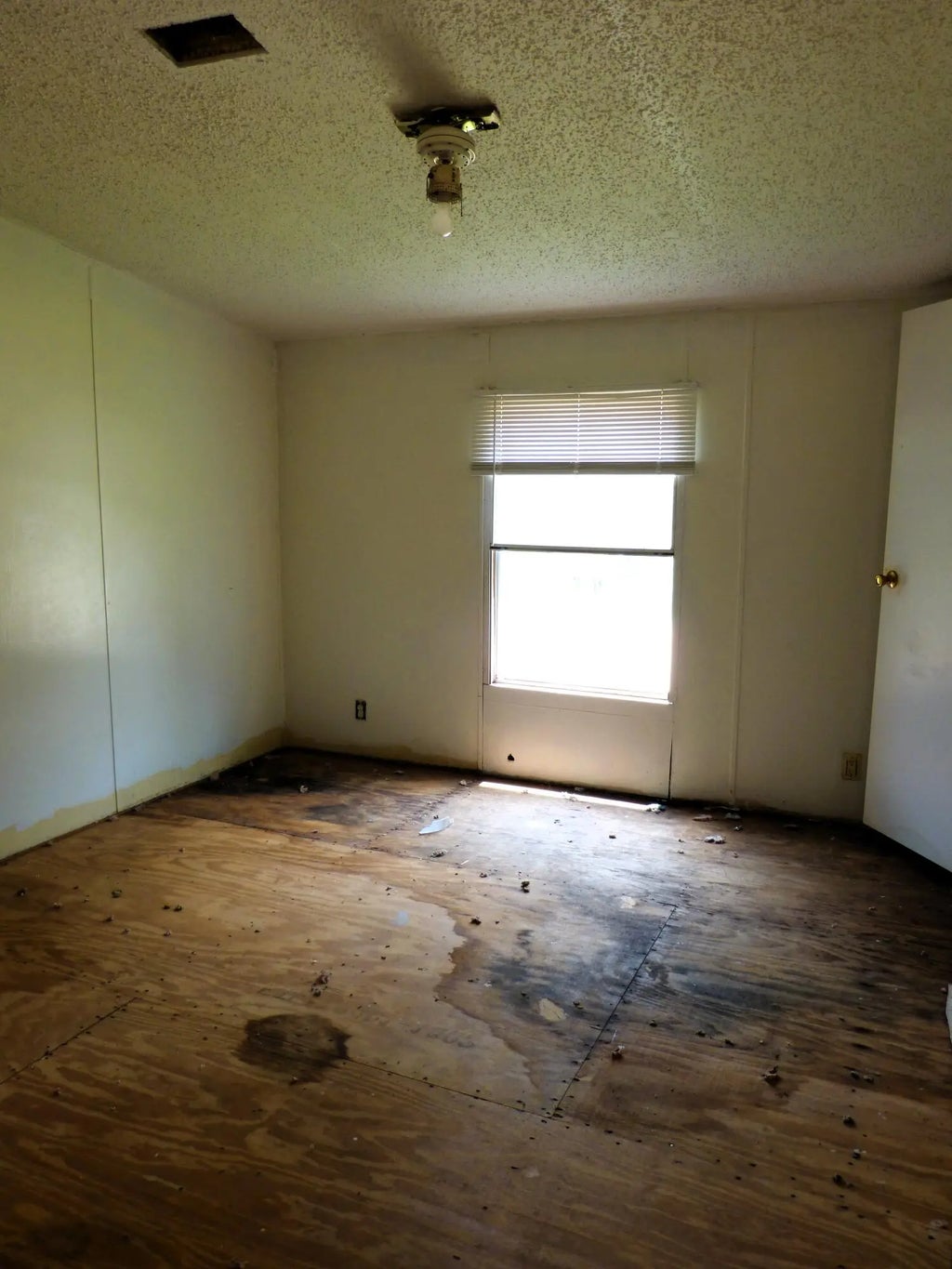 12 of 19 - 12256 Hwy 81, Ponce De Leon, FL