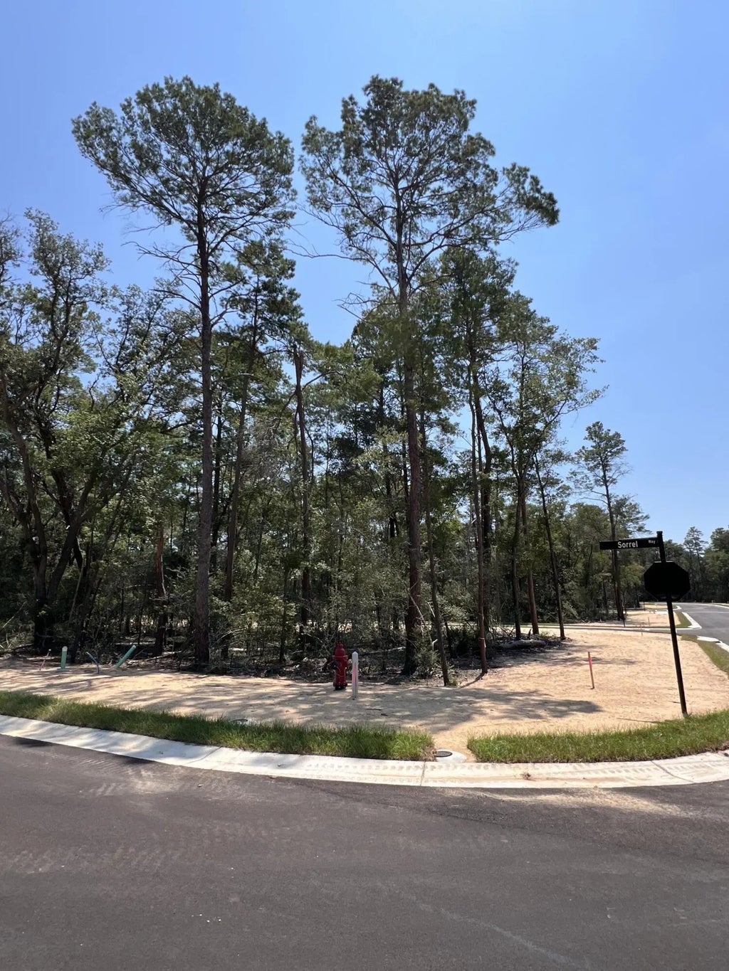 3 of 7 - 410 Sorrel Way, Niceville, FL