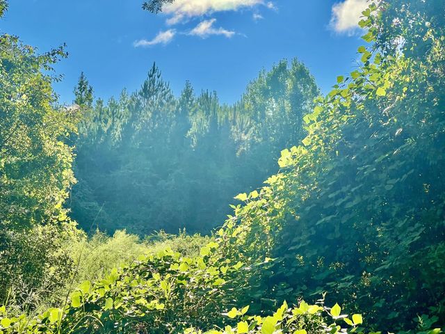 Photo of Listing #958267