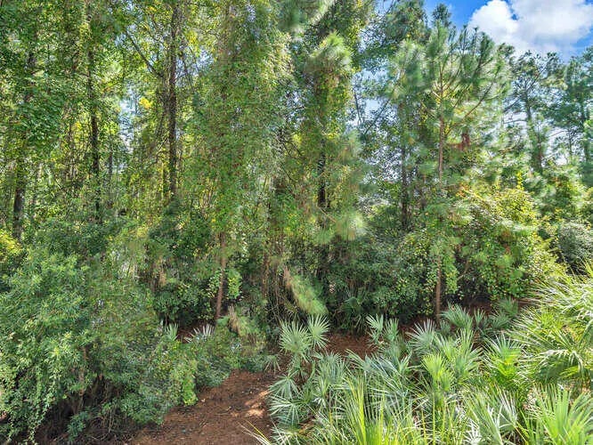 26 of 37 - 9600 Grand Sandestin Boulevard Unit 3106, Miramar Beach, FL