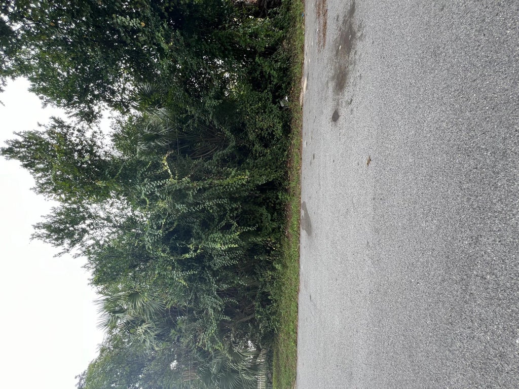 6 of 6 - 228 Magnolia Drive, Panama City Beach, FL