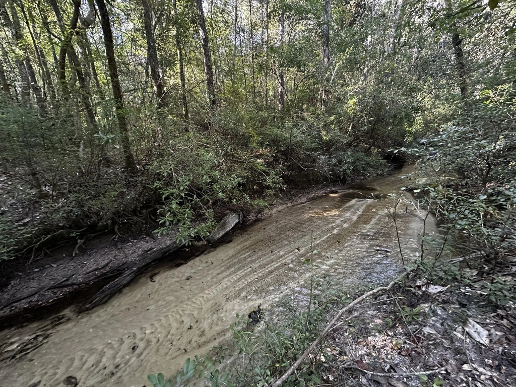 2 of 5 - Tbd S Carroll Drive, Baker, FL