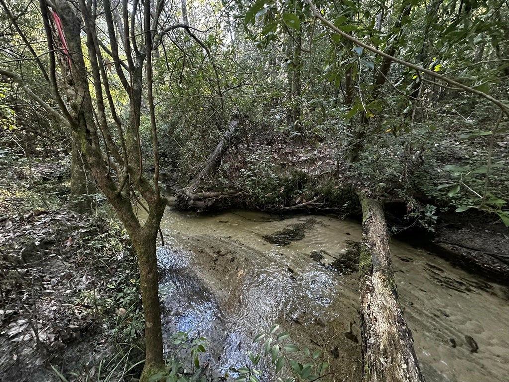 3 of 5 - Tbd S Carroll Drive, Baker, FL